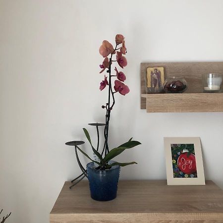 Апартаменты Grig Apartament Бухарест Экстерьер фото